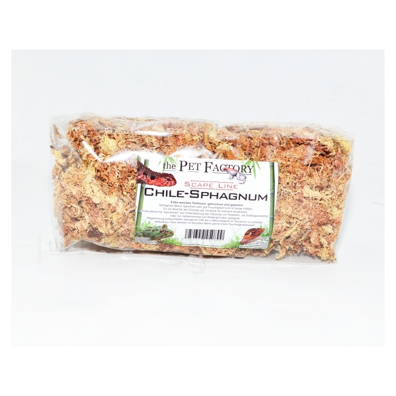 Sfagno Morbido Cileno 50 G