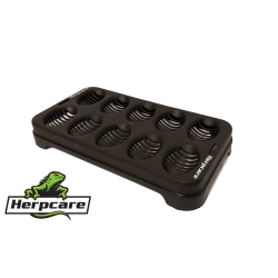 Egg Tray Container 10 slot
