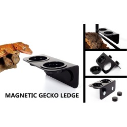 Reptizoo magnetic bowl holder