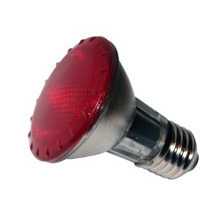 Red light halogen spot lamp InfraRep