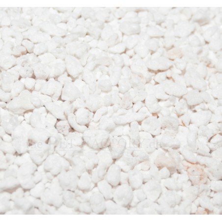 Perlite The Pet Factory