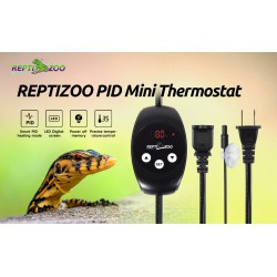 PID Mini Termostato ReptiZoo