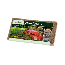 SB031/032 Repti Moss