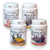 Axolotl, Molch and Salamander food