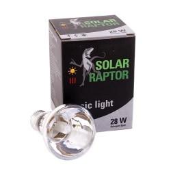 Lampada spot Solar Raptor Basic Light