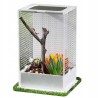 Reptizoo acrylic breeding box