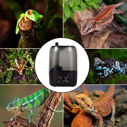 Digital timed humidifier ReptiZoo