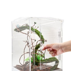 Terrari in plexiglass ReptiZoo