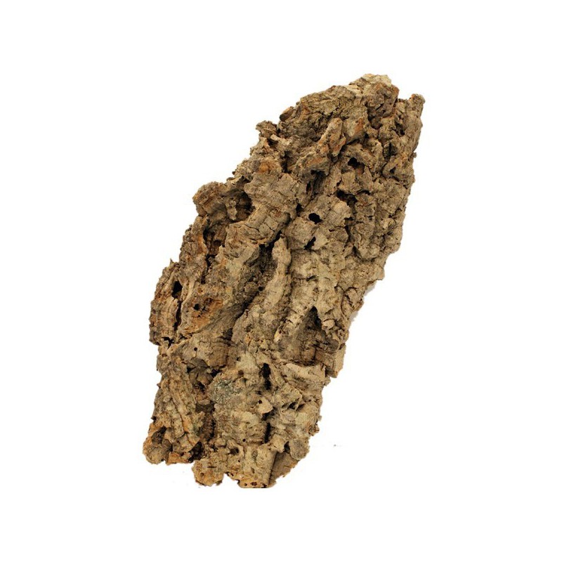 Pezzi di corteccia di sughero naturale DIANTHA, 5 pezzi, marrone, 50x25cm