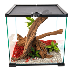 Reptizoo glass top-opening terrariums