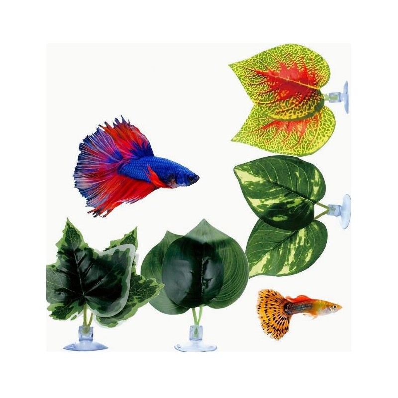 Leaves for aquarium and terrariums