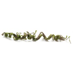 Twisted vine 65cm