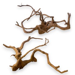 Driftwood radici per acquari e terrari