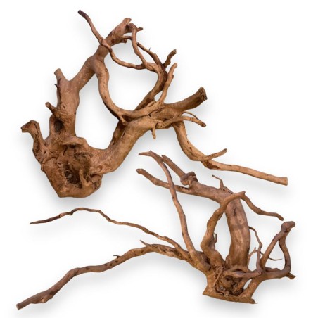 Driftwood for aquariums and terrariums