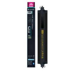 Jungle Dawn LED LumenIZE bar