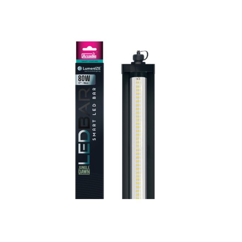 Barra Jungle Dawn LED LumenIZE