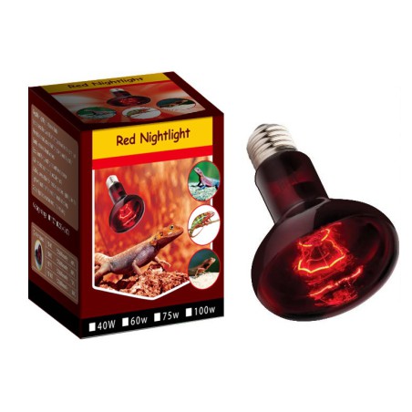 Infra Red Nightlight lamp