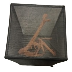 Terrario in plastica e rete Flexarium