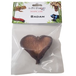 Baccello di mandorlo - Badam