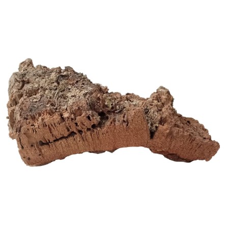 Cork bark XXL