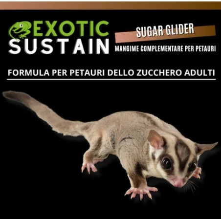 Complementary food for sugar gliders