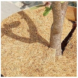 Coconut fiber panels