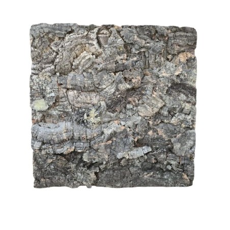 Raw cork backgrounds