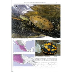 Reptiles of Oaxaca: Turtles, crocodiles, lizards and snakes of Mexico's most biodiverse state