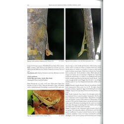 Reptiles of Oaxaca: Turtles, crocodiles, lizards and snakes of Mexico's most biodiverse state