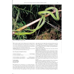 Reptiles of Oaxaca: Turtles, crocodiles, lizards and snakes of Mexico's most biodiverse state