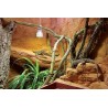 Captive Habitats - Building, furnishing and maintaining naturalistic vivariums and enclosures