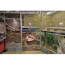 Captive Habitats - Building, furnishing and maintaining naturalistic vivariums and enclosures
