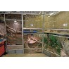 Captive Habitats - Building, furnishing and maintaining naturalistic vivariums and enclosures