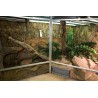 Captive Habitats - Building, furnishing and maintaining naturalistic vivariums and enclosures