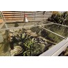 Captive Habitats - Building, furnishing and maintaining naturalistic vivariums and enclosures