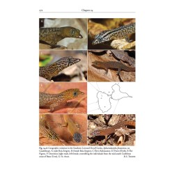 Reptiles of the Lesser Antilles