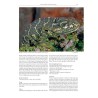 Chameleons of Africa – An Atlas including the chameleons of Europe, the Middle East and Asia