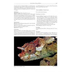 Chameleons of Africa – An Atlas including the chameleons of Europe, the Middle East and Asia