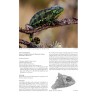 Chameleons of Africa – An Atlas including the chameleons of Europe, the Middle East and Asia