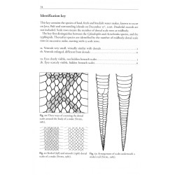 The Snakes of Java, Bali and Surrounding Islands