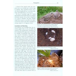 Spotted & Wood Turtles Ecology, Husbandry & Breeding (Clemmys guttata & Glyptemys insculpta)