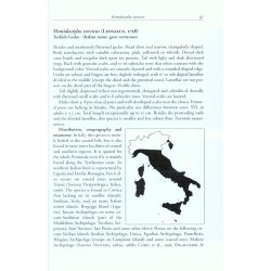 The Lizards of Italy and Adjacent Areas