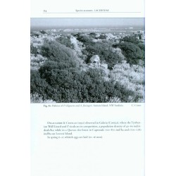 The Lizards of Italy and Adjacent Areas