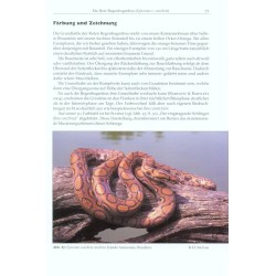 Rainbow Boas - Natural History & Captive Husbandry