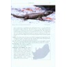 Girdled Lizards and their Relatives Natural History, Captive Care and Breeding
