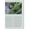 European Pond Turtle Emys orbicularis, Chelonian Library Volume: 4