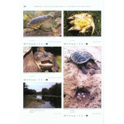 Turtles of the World, Volume 2: North America