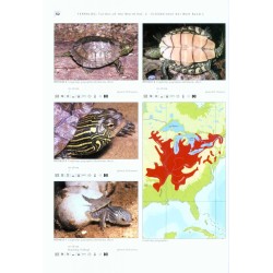 Turtles of the World, Volume 2: North America