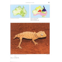 Terralog 10 Geckos of Australia / Geckos Australiens