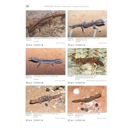 Terralog 10 Geckos of Australia / Geckos Australiens
